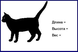 Донской сфинкс